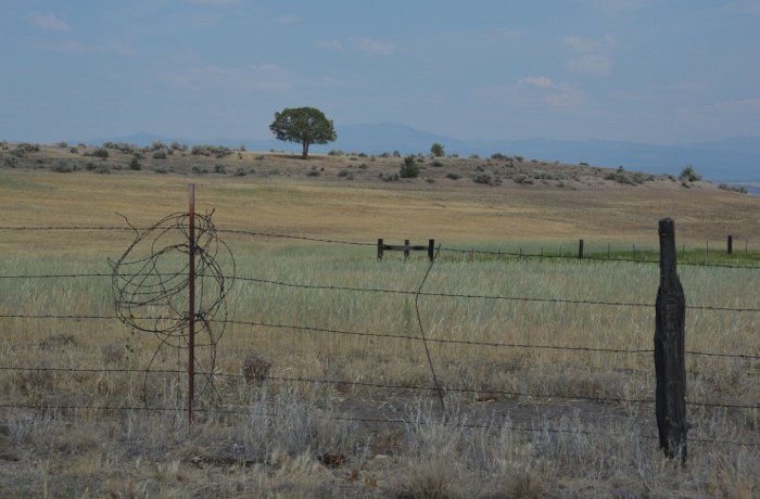 scenic view on CR60